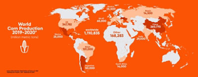 World Corn Production Map 2019-2020